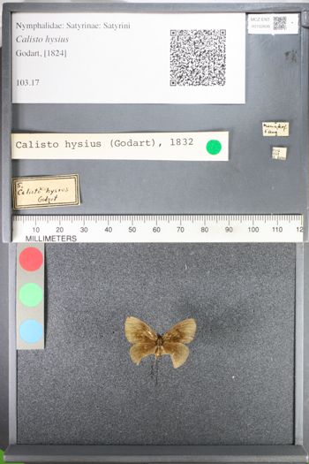 Media type: image;   Entomology 102606